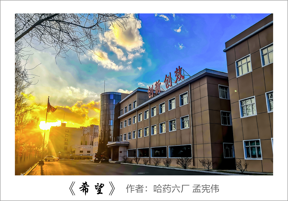 【迎国庆 展风采】我眼中的k8凯发——职工摄影大赛作品展示！